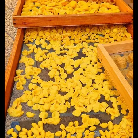 Giulia Séjour chez l'habitant *